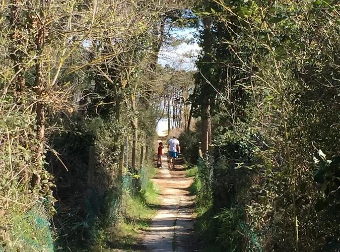 Кемпинг Mobilehomes 3*